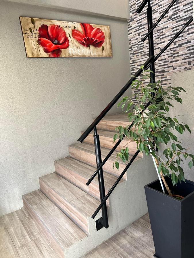 3 Apartment Trelew